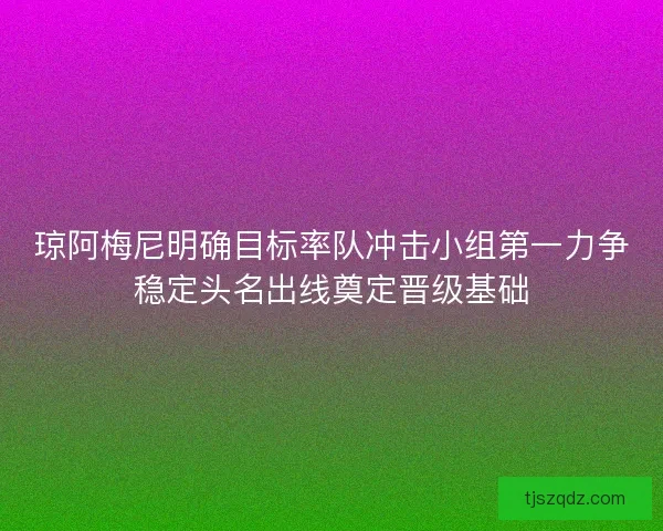 琼阿梅尼明确目标率队冲击小组第一力争稳定头名出线奠定晋级基础