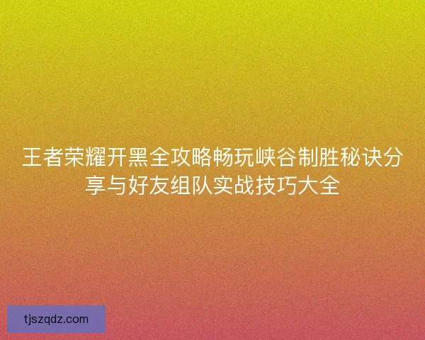 王者荣耀开黑全攻略畅玩峡谷制胜秘诀分享与好友组队实战技巧大全