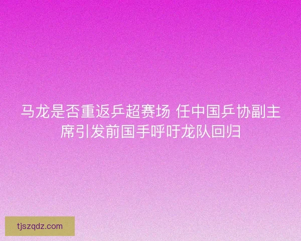 马龙是否重返乒超赛场 任中国乒协副主席引发前国手呼吁龙队回归